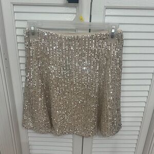 Sequin Embellished Skirt - Silver/tan